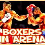 Boxers in Arena