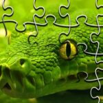 Snakes Jigsaw Puzzle