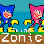 Twins Zonic